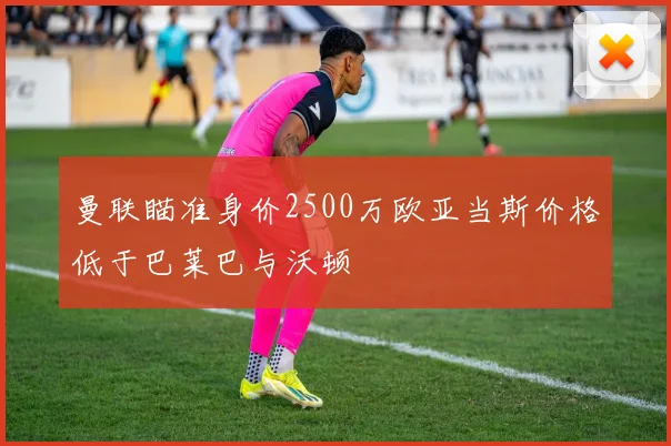 曼联瞄准身价2500万欧亚当斯价格低于巴莱巴与沃顿