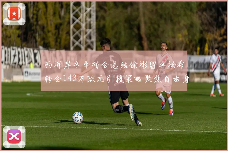 西海岸冬季转会总结徐彬留洋杨希转会143万欧元引援策略聚焦自由身球员