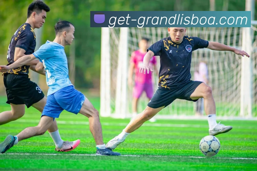 多媒体互动体验