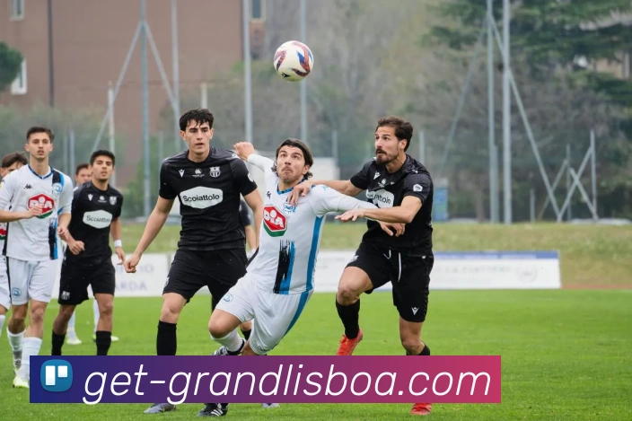 新葡京娱乐APP 体育赛事宣传图